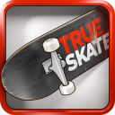 True Skate Logo