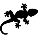 JGecko U by BullyWiiPlaza Logo